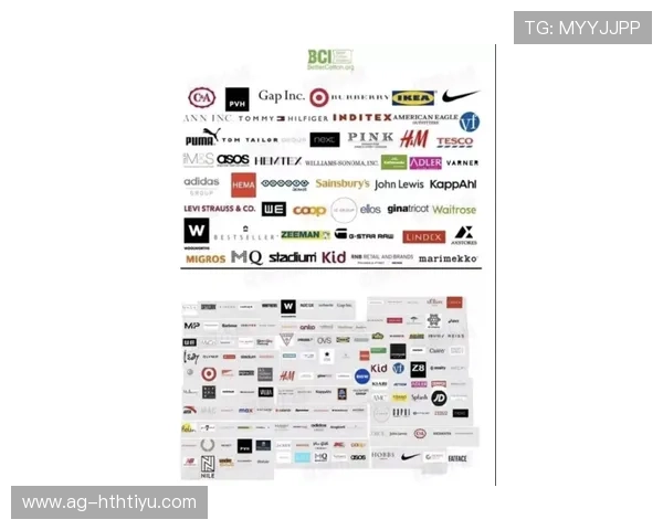 华体会线上官方入口多平台支持快速登录一键进入投注界面